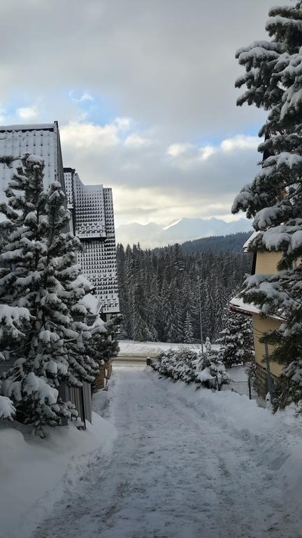 U Siebie W Gorach II Apartment Буковина Татжанска Екстериор снимка